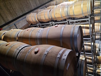 UE-Mercosur: retos, amenazas y oportunidades