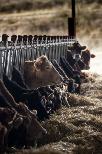 El sector primario europeo gana fuerza