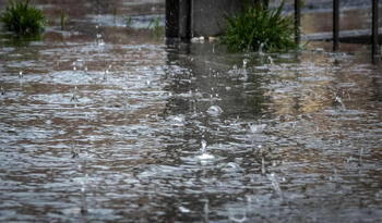 Localizan en su casa a la menor desaparecida en Asturias