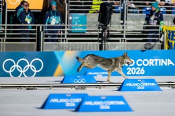 Nazgul quería su medalla: el viral inesperado de los Juegos