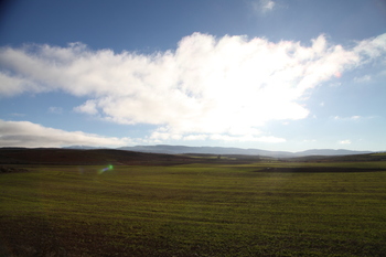 Crece y se consolida el interés por el suelo rústico