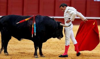 Ponce-David de Miranda, pareja de moda