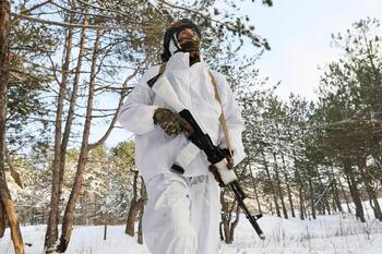 Rusia anuncia la toma de otras dos localidades