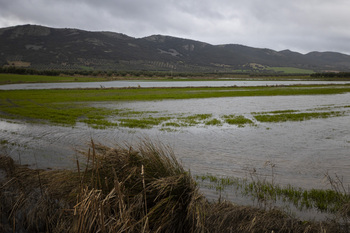 Una campaña llena de nubarrones