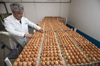 Las salvaguardas contra Mercosur dividen al sector