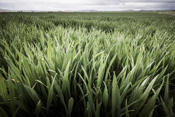 2026: viejas amenazas y también nuevos retos