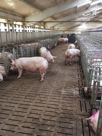 Arranca un semestre movido