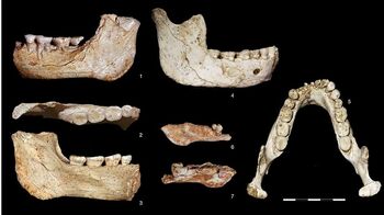 Un hallazgo en Marruecos aclara el origen del Homo sapiens