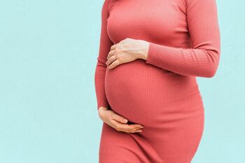 España redefine su modelo reproductivo