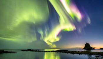 A la caza de la experiencia