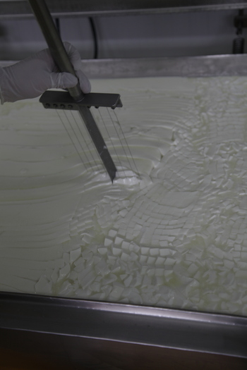 Después del cerdo les toca a los lácteos