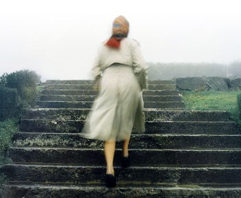 Destino privado con repercusión colectiva