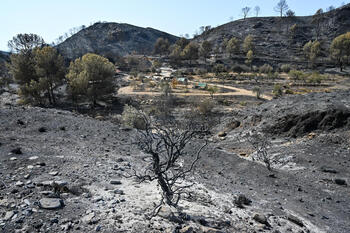 Ataque 'directo' al incendio de Almería