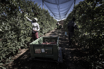 La subida del SMI pone al campo al límite