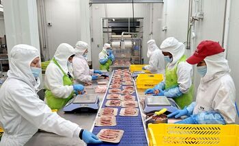 La modernidad salva la tradición