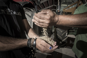 Relevo generacional: el reto pendiente