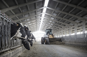 Aumenta el consumo de leche y derivados pero cae la producción