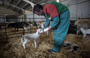 Chipre impulsa una PAC más sostenible y competitiva