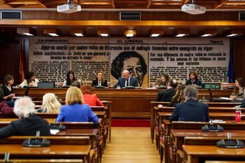 El Senado estima que el Gobierno despreció los avisos de apagón